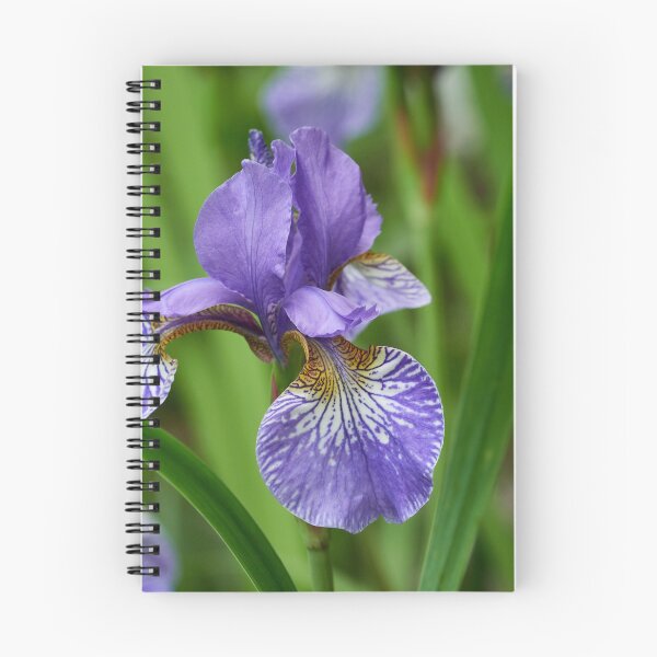 Item preview, Siberian iris 99 designed and sold by Jouko Lehto Photography.