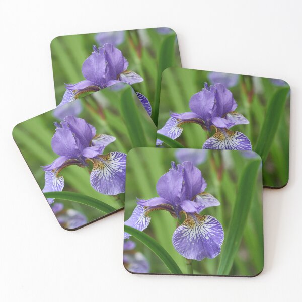 Item preview, Siberian iris 99 designed and sold by Jouko Lehto Photography.