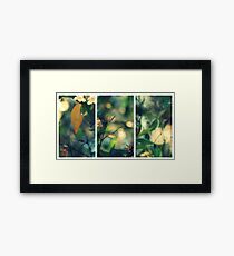 Daydream Believer Framed Print