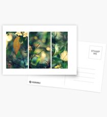 Daydream Believer Postcards