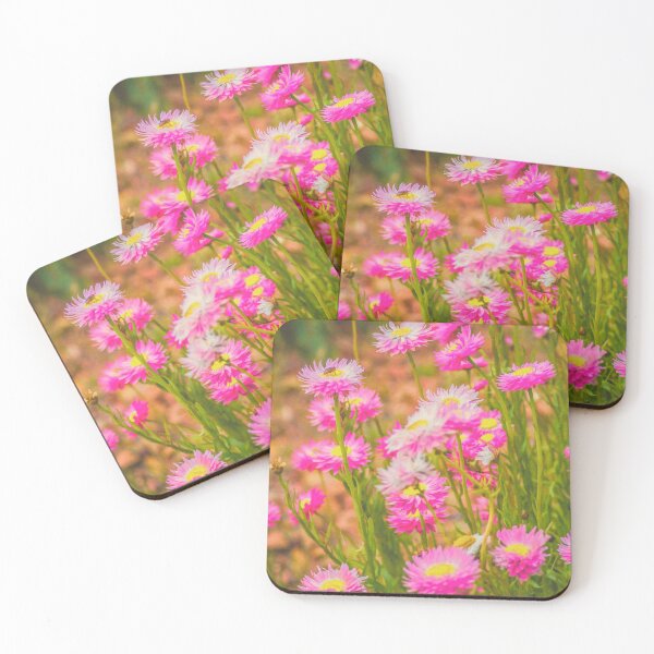 Item preview, Paper Daisy designed and sold by DVJPhotography.