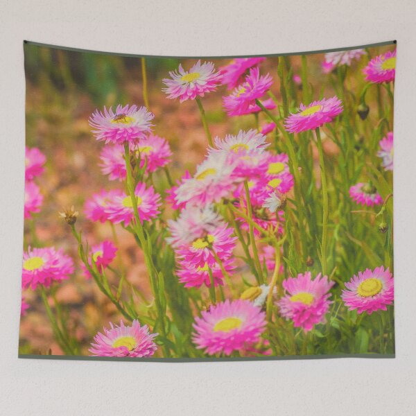 Item preview, Paper Daisy designed and sold by DVJPhotography.