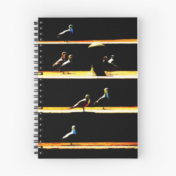Item preview, Sunshine, Steps and Seagulls designed and sold by PictureNZ.