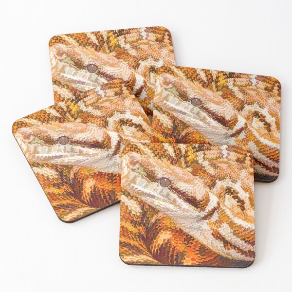 Item preview, Python 2 designed and sold by DVJPhotography.