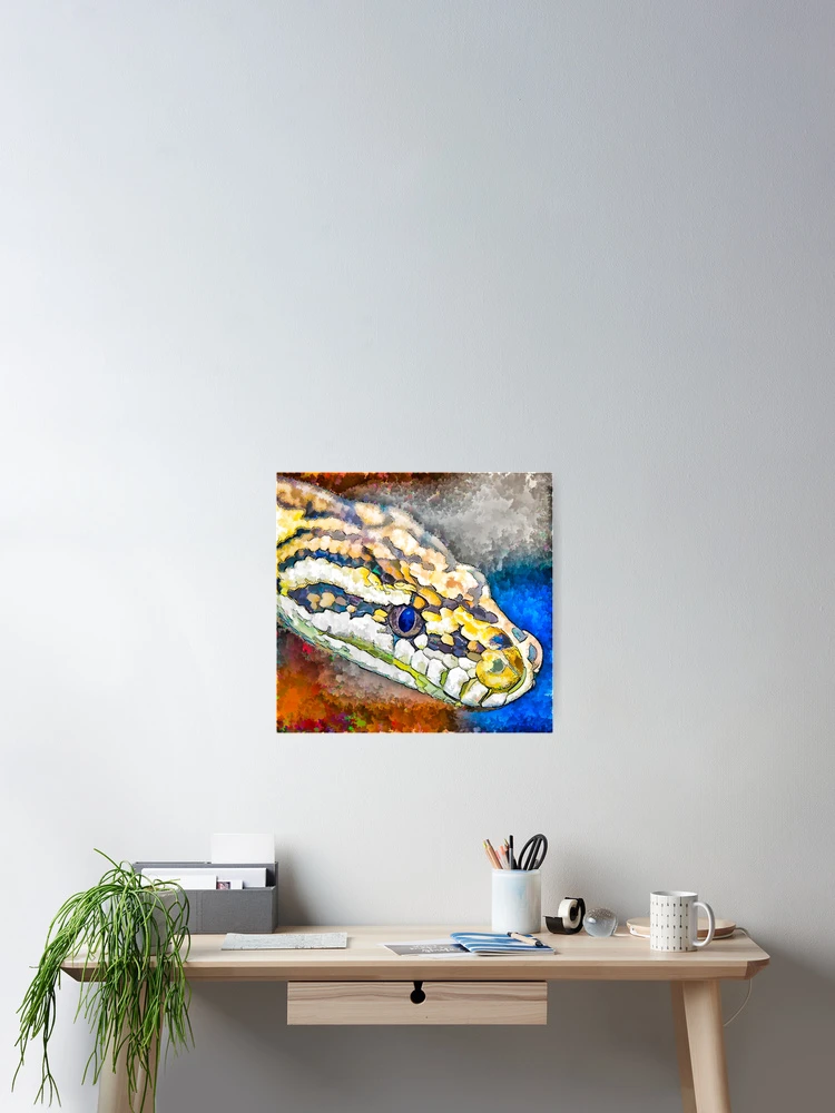 Thumbnail 2 of 3, Poster, Python designed and sold by DVJPhotography.