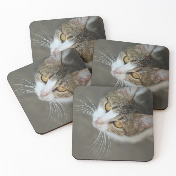 Item preview, Portrait of grey wild cat designed and sold by olena2552.
