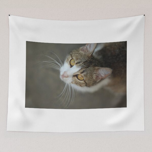 Item preview, Portrait of grey wild cat designed and sold by olena2552.