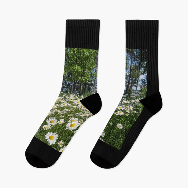 Item preview, The field of daisies and Tampere ibehind the lake. Ox-eye daisy14 designed and sold by Jouko Lehto Photography.