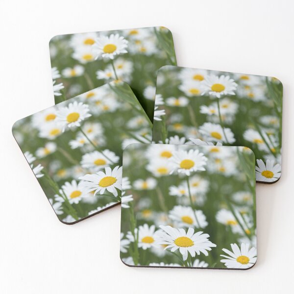 Item preview, Field of daisies. Ox-eye daisy23 designed and sold by Jouko Lehto Photography.