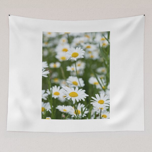 Item preview, Field of daisies. Ox-eye daisy23 designed and sold by Jouko Lehto Photography.