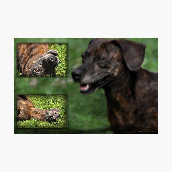 Item preview, Lovin the Moment designed and sold by michaelasamples.