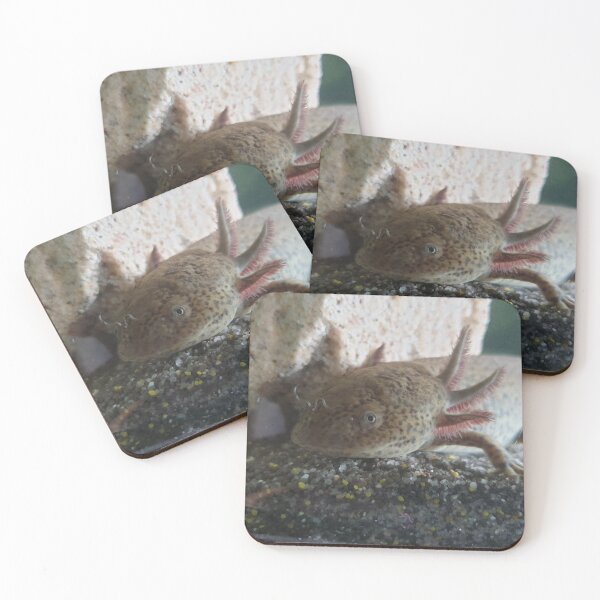 Item preview, Natsu the Axolotl  designed and sold by TheArtChappy.