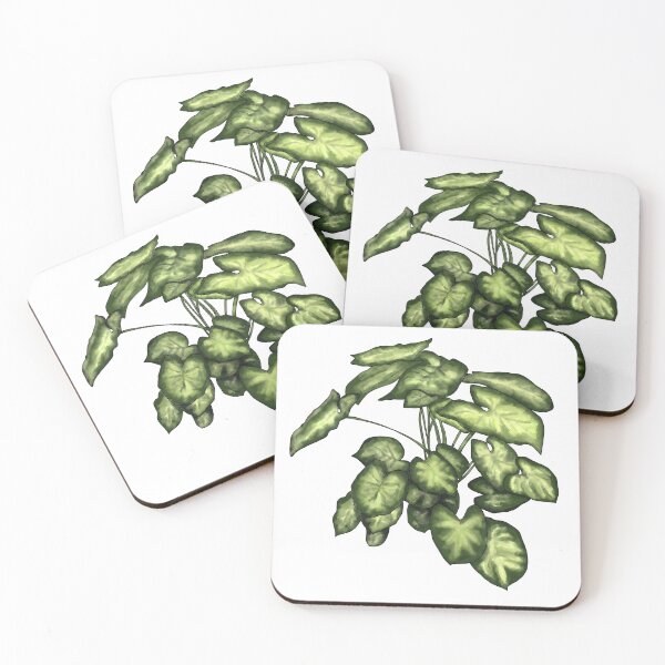 Item preview, Syngonium podophyllum designed and sold by shtem.