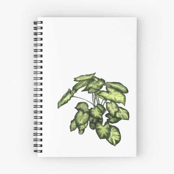 Item preview, Syngonium podophyllum designed and sold by shtem.
