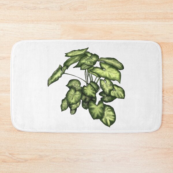 Item preview, Syngonium podophyllum designed and sold by shtem.