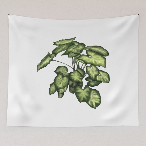 Item preview, Syngonium podophyllum designed and sold by shtem.