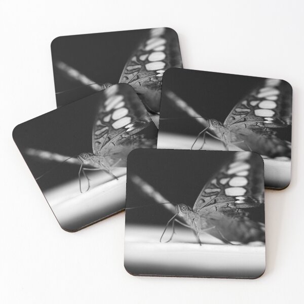 Item preview, flutterby designed and sold by InNature.