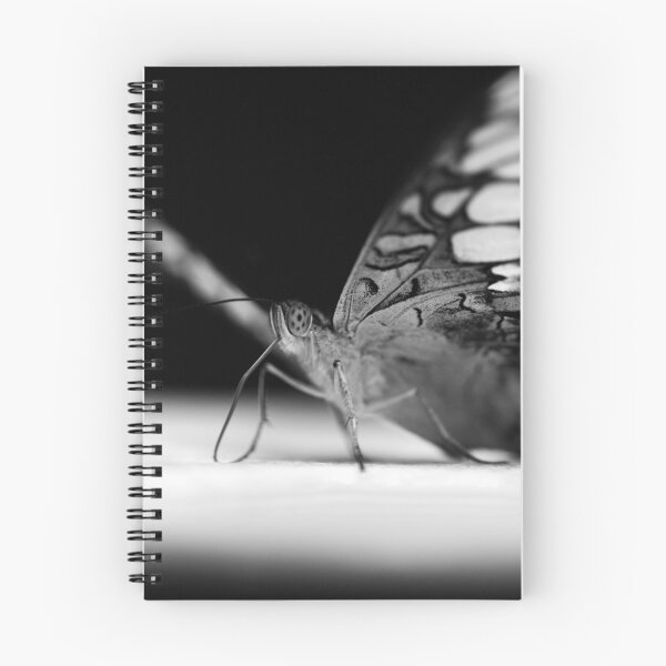 Item preview, flutterby designed and sold by InNature.