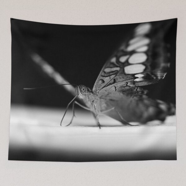 Item preview, flutterby designed and sold by InNature.