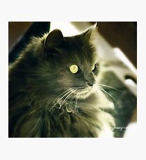 Nike Photographic Print
