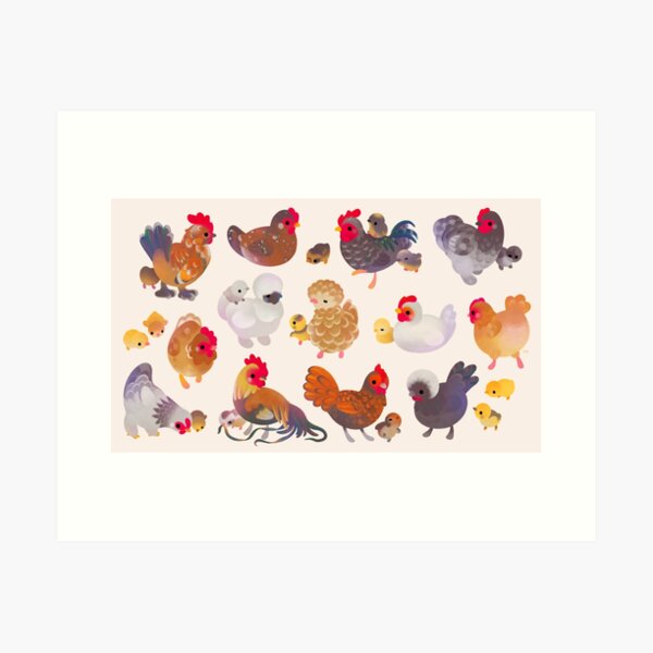 Isabelle brahma large fowl  Pets drawing, Beautiful chickens
