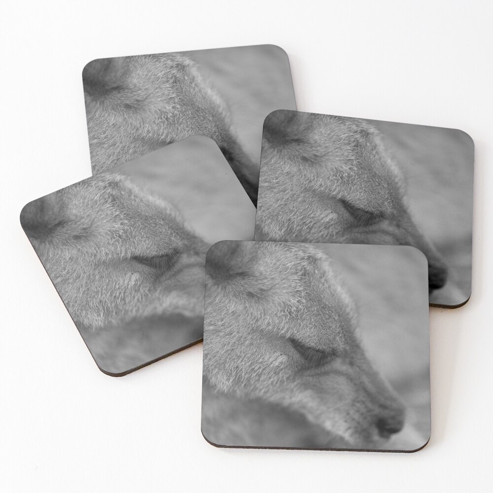 Item preview, Coasters (Set of 4) designed and sold by InNature.