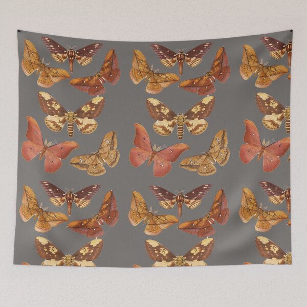 Item preview, Muddle of Moths - Vintage Zoology Natural History designed and sold by MoPaws.
