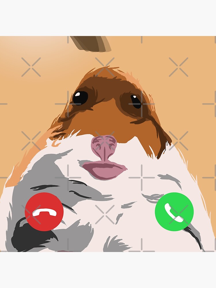 FaceTime Hamster by p1a2u3