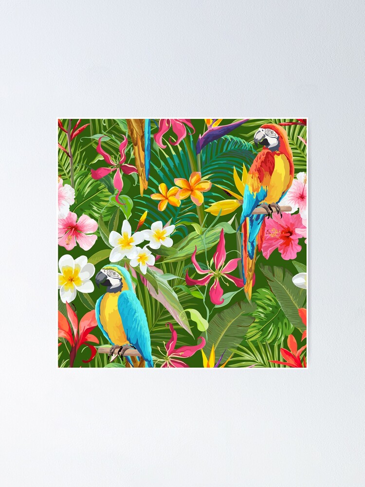 Póster «Pintura de guacamayos salvajes - Aves tropicales exóticas - Loros coloridos» de | Redbubble