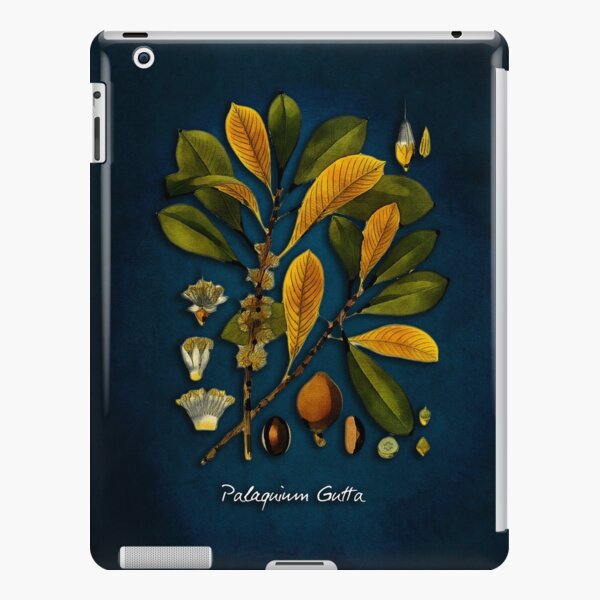 tree Palaquium gutta iPad Snap Case