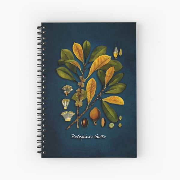 tree Palaquium gutta Spiral Notebook