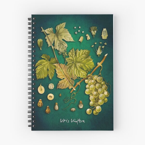 Item preview, Vitis vinifera designed and sold by JBJart.