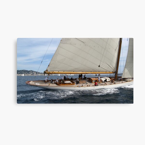 with the nose to insu !!! VETRINA RB EXPLORE 12 MARZO 2013- Canvas Print