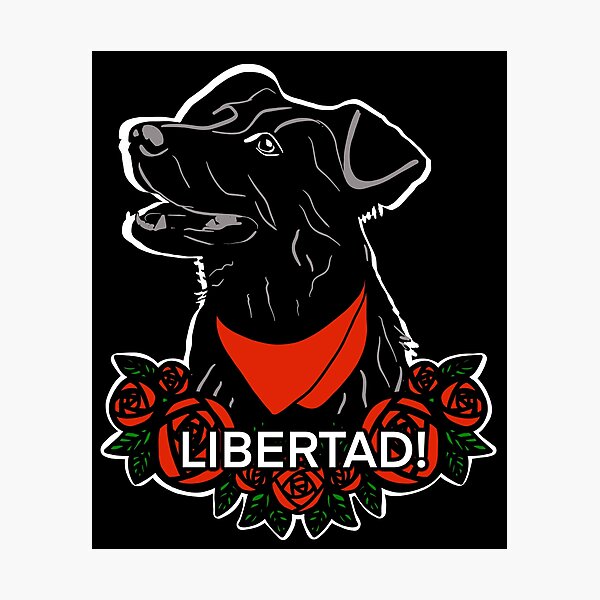 Anarcho communism Negro Matapacos libertad Photographic Print