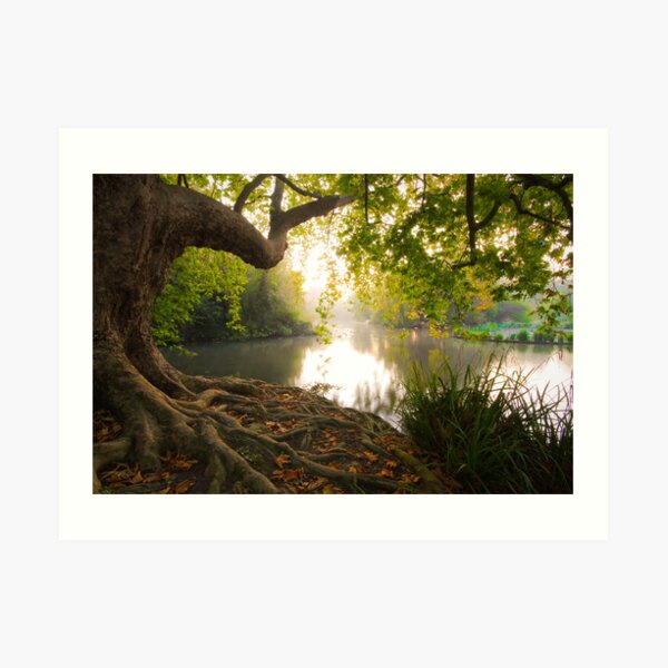 Hampden park pond Art Print