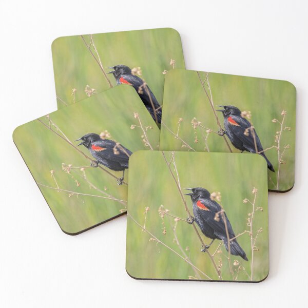 Item preview, Red Winged Blackbird designed and sold by CarolM.