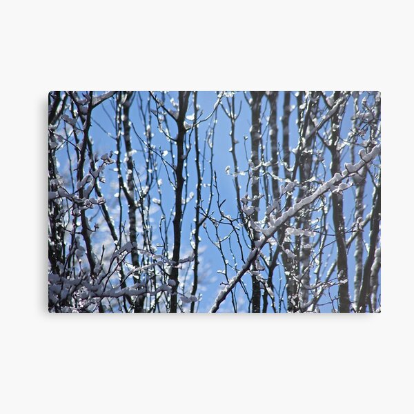 Ice Crystal Forest Metal Print