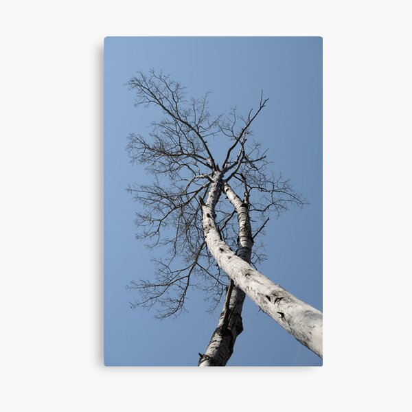Break My Fall Canvas Print