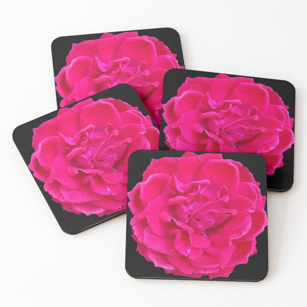 Item preview, real pink beautiful rose designed and sold by That Store With the Fun Stuff.