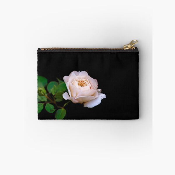 Item preview, Gentle light pink rose against black background designed and sold by lena-maximova.
