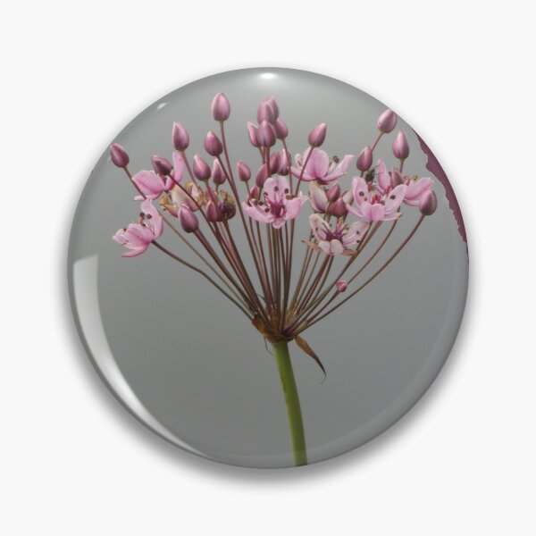Item preview, Zwanebloem 2 designed and sold by CamphuijsenArt.