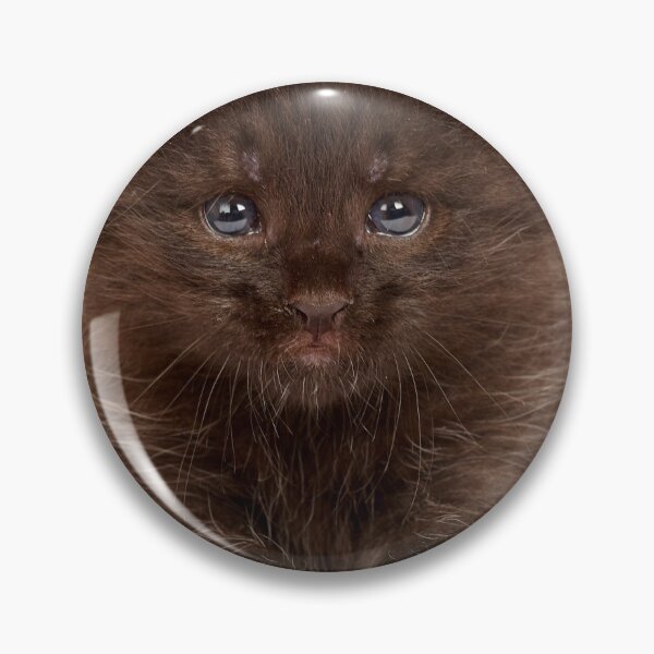 Item preview, Small kitten Photo designed and sold by yemliha toker.