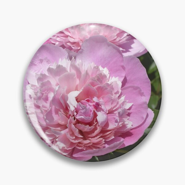 Item preview, Pink Peony Sympathy Card designed and sold by Kathleen Brant.