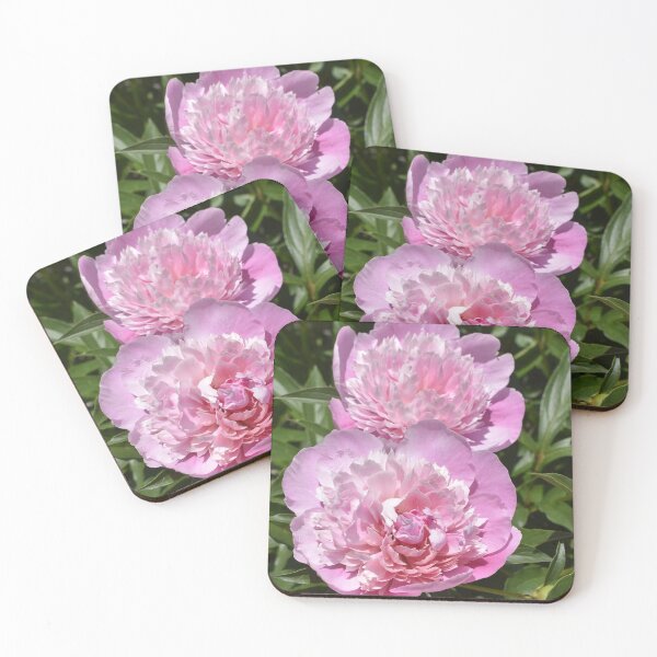 Item preview, Pink Peony Sympathy Card designed and sold by Kathleen Brant.