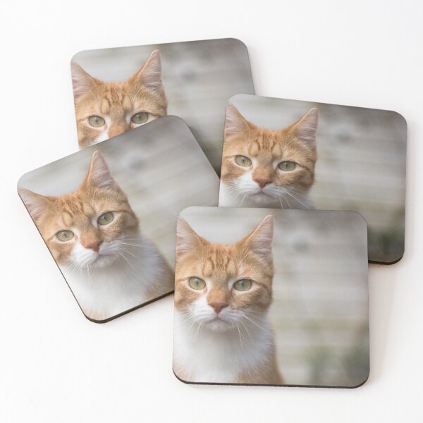Item preview, Red cat looking at you designed and sold by Photopat.