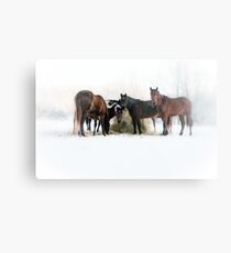 "Horses In Snow" Metal Print