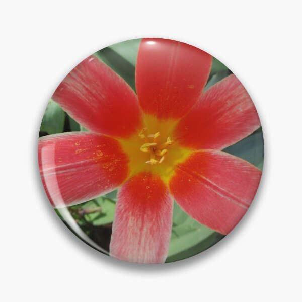 Item preview, In the petals of the welcoming red and yellow flower designed and sold by StephanieCAD.
