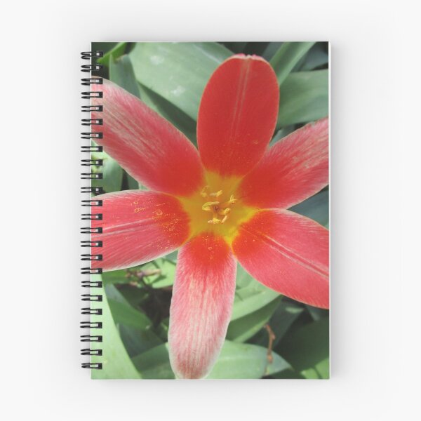 Item preview, In the petals of the welcoming red and yellow flower designed and sold by StephanieCAD.