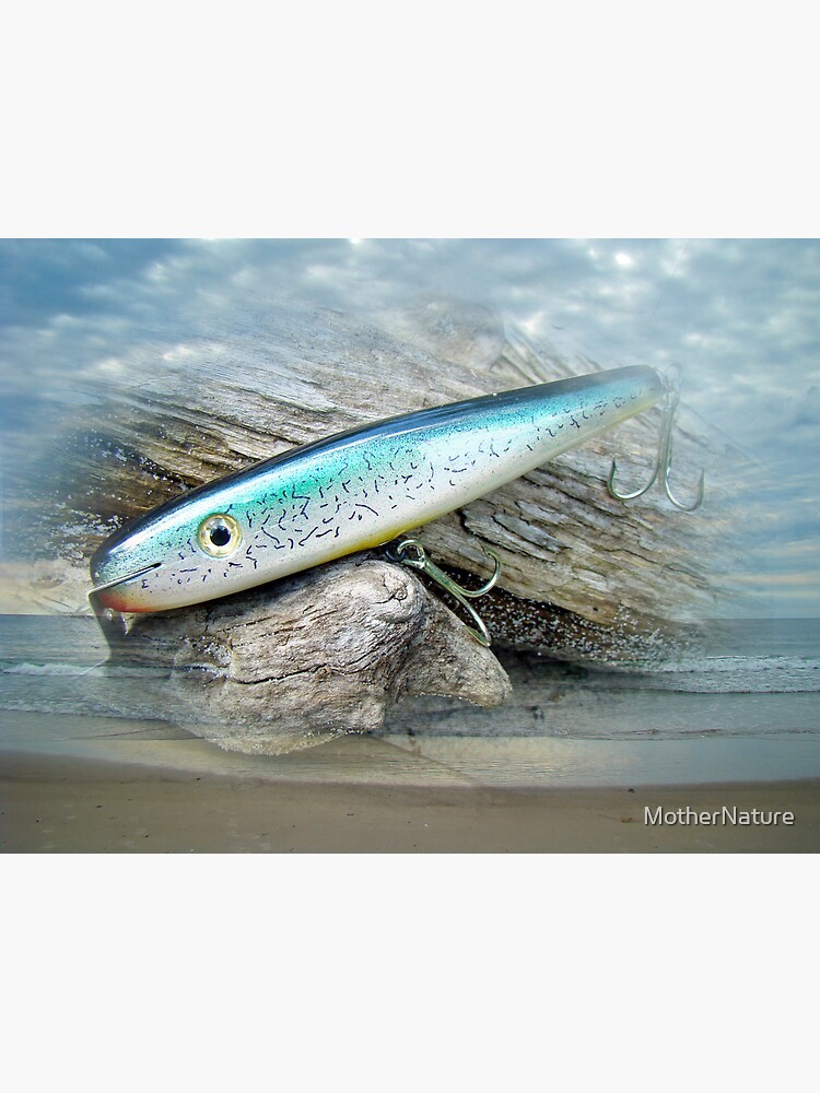 AJS Baby Weakfish Saltwater Swimmer Fishing Lure Canvas Print for Sale by  MotherNature