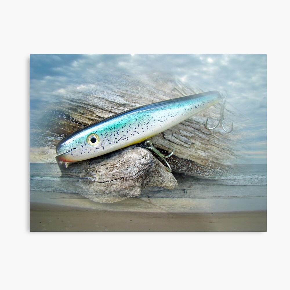 AJS Baby Weakfish Saltwater Swimmer Fishing Lure Art Print for